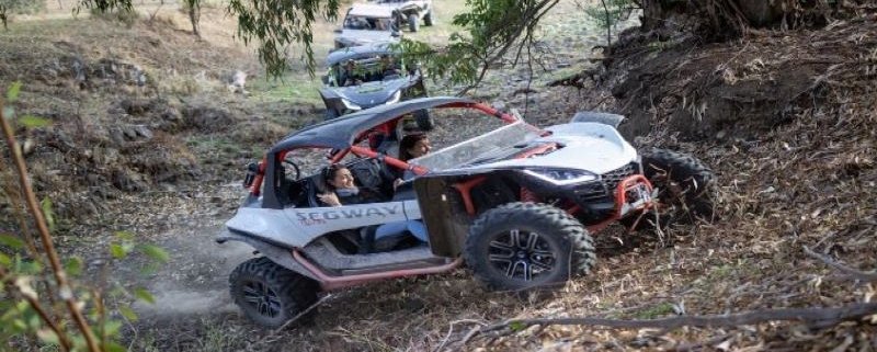 mejores-excursiones-en-buggy