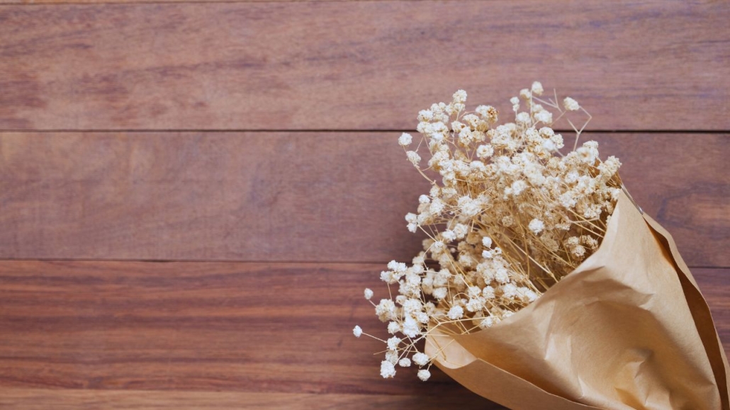 flores secas