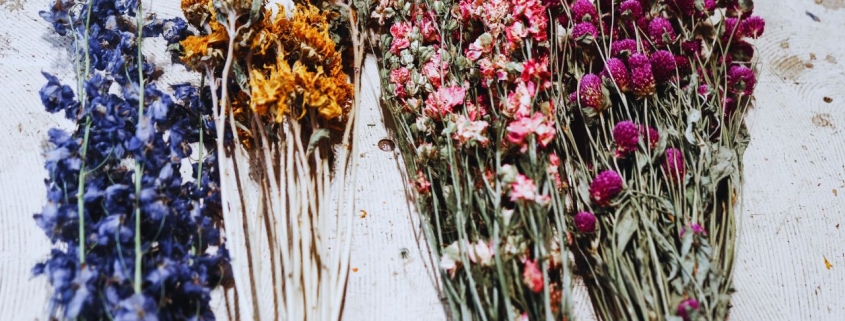 flores secas